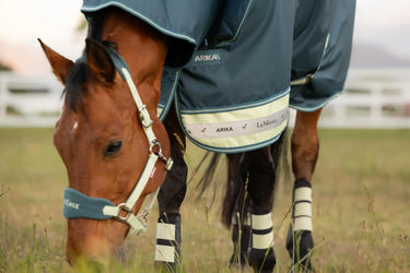 LeMieux Arika Ripstop 50g Turnout Rug Jungle| Online For Equine