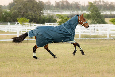 LeMieux Arika Ripstop 50g Turnout Rug Jungle| Online For Equine
