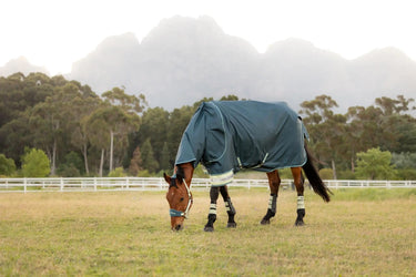 LeMieux Arika Ripstop 50g Turnout Rug Jungle| Online For Equine