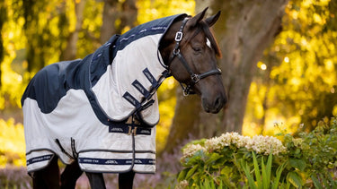 Buy Digby & Fox Bandana | Online for Equine