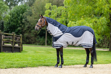 Buy Digby & Fox Bandana | Online for Equine