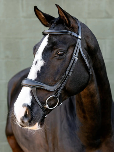 LeMieux Arika Split Noseband Bridle Black/Silver| Online For Equine