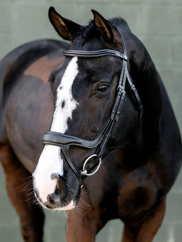 LeMieux Arika Split Noseband Bridle Black/Silver| Online For Equine