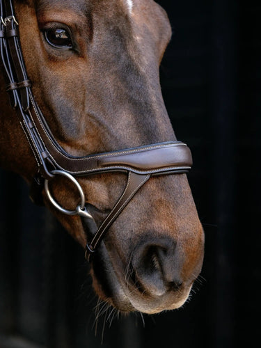LeMieux Arika Split Noseband Bridle Brown/Silver| Online For Equine