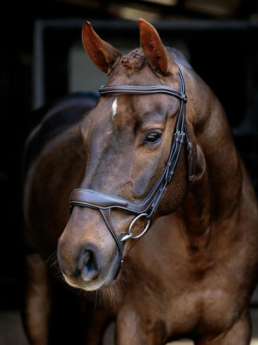 LeMieux Arika Split Noseband Bridle Brown/Silver| Online For Equine