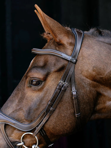 LeMieux Arika Split Noseband Bridle Brown/Silver| Online For Equine