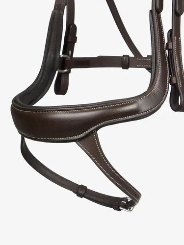 LeMieux Arika Split Noseband Bridle Brown| Online For Equine