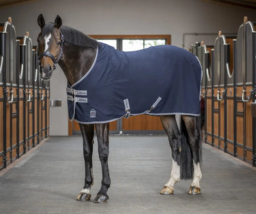 Buy LeMieux Arika Stable Sheet| Online for Equine
