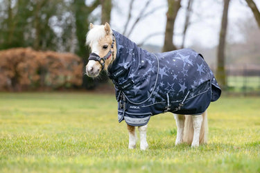 LeMieux Arika Star 0g Turnout Rug Navy| Online For Equine