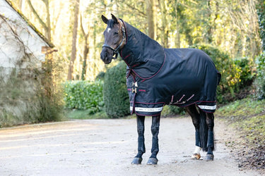 LeMieux Arika Storm-Tek Rug 100g Black| Online For Equine