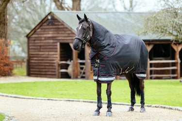 LeMieux Arika Storm-Tek Rug 50g Black| Online For Equine