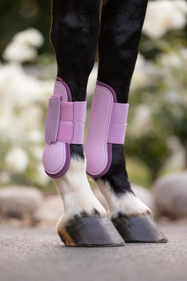 LeMieux Arika Tendon Boot Fondant| Online For Equine