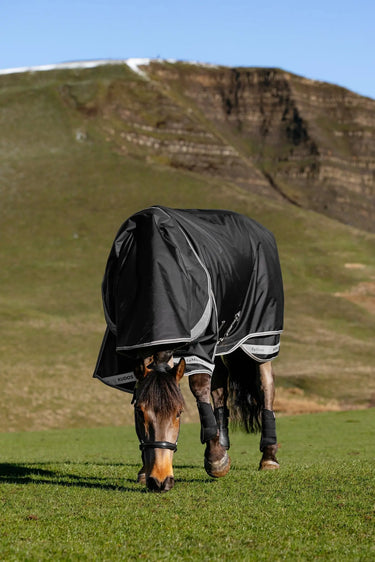 LeMieux Black Kudos Neo-Turnout Rug 100g Black| Online For Equine