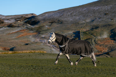 LeMieux Black Kudos Neo-Turnout Rug 100g Black| Online For Equine