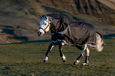 LeMieux Black Kudos Neo-Turnout Rug 100g Black| Online For Equine