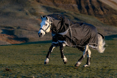 LeMieux Black Kudos Neo-Turnout Rug 100g Black| Online For Equine