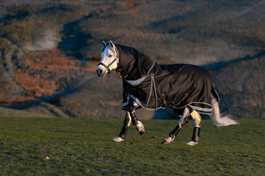 LeMieux Black Kudos Neo-Turnout Rug 100g Black| Online For Equine