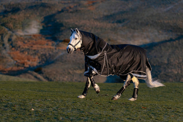 LeMieux Black Kudos Neo-Turnout Rug 100g Black| Online For Equine
