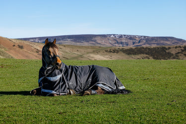 LeMieux Black Kudos Neo-Turnout Rug 100g Black| Online For Equine