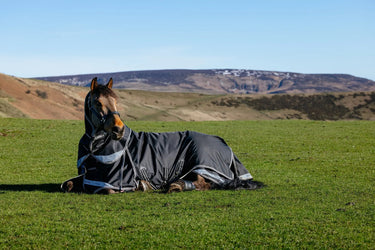 LeMieux Black Kudos Neo-Turnout Rug 100g Black| Online For Equine