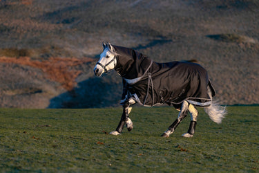 LeMieux Black Kudos Neo-Turnout Rug 100g Black| Online For Equine