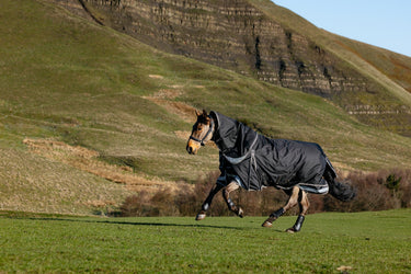 LeMieux Black Kudos Neo-Turnout Rug 100g Black| Online For Equine