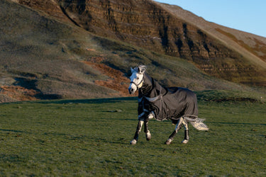 LeMieux Black Kudos Neo-Turnout Rug 100g Black| Online For Equine