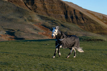 LeMieux Black Kudos Neo-Turnout Rug 100g Black| Online For Equine