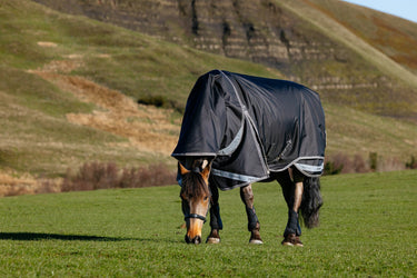 LeMieux Black Kudos Neo-Turnout Rug 100g Black| Online For Equine