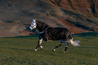 LeMieux Black Kudos Neo-Turnout Rug 100g Black| Online For Equine