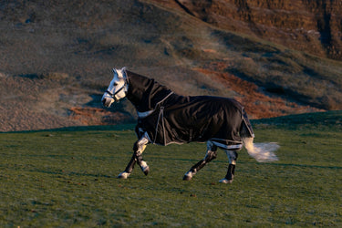 LeMieux Black Kudos Neo-Turnout Rug 100g Black| Online For Equine