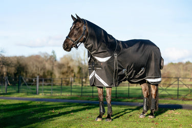 LeMieux Black Kudos Neo-Turnout Rug 100g Black| Online For Equine