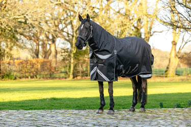LeMieux Black Kudos Neo-Turnout Rug 100g Black| Online For Equine