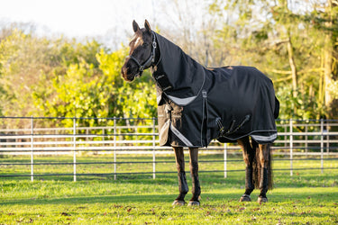 LeMieux Black Kudos Neo-Turnout Rug 100g Black| Online For Equine