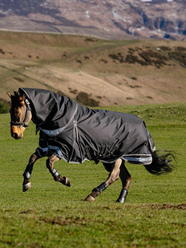 LeMieux Black Kudos Neo-Turnout Rug 200g Black| Online For Equine