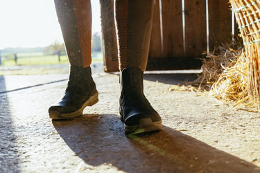 LeMieux Black Trex Waterproof Chelsea Boots| Online For Equine