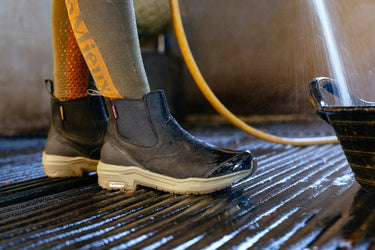 LeMieux Black Trex Waterproof Chelsea Boots| Online For Equine