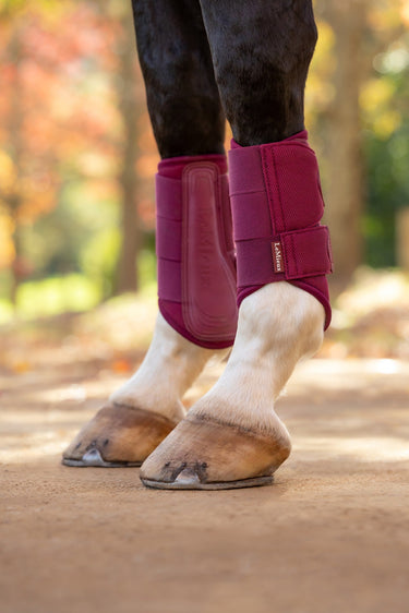 LeMieux Blackberry Arika Mesh Brushing Boots Blackberry| Online For Equine