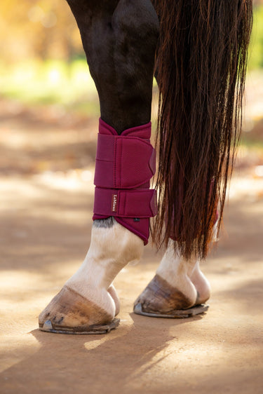 LeMieux Blackberry Arika Mesh Brushing Boots Blackberry| Online For Equine