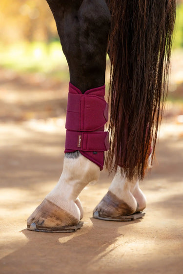 LeMieux Blackberry Arika Mesh Brushing Boots Blackberry| Online For Equine