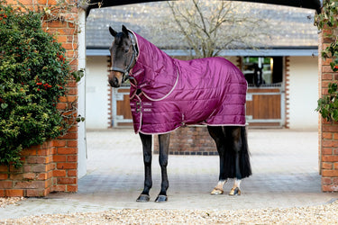 LeMieux Blackberry Arika Stable-Tek with Neck 100g Blackberry| Online For Equine