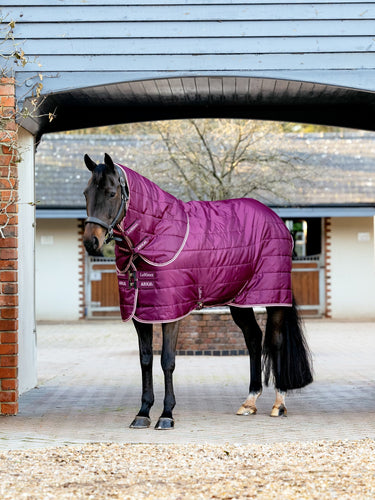 LeMieux Blackberry Arika Stable-Tek with Neck 100g Blackberry| Online For Equine