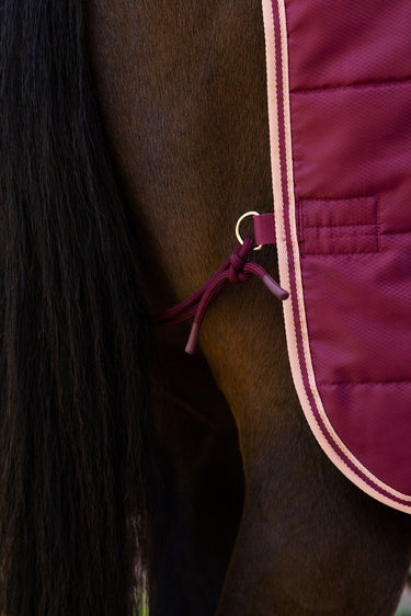 LeMieux Blackberry Arika Stable-Tek with Neck 100g Blackberry| Online For Equine