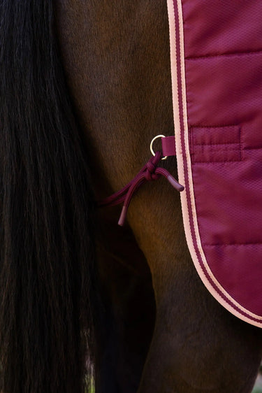 LeMieux Blackberry Arika Stable-Tek with Neck 100g Blackberry| Online For Equine
