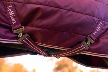 LeMieux Blackberry Arika Stable-Tek with Neck 100g Blackberry| Online For Equine