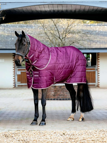 LeMieux Blackberry Arika Stable-Tek with Neck 200g Blackberry| Online For Equine