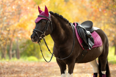 LeMieux Blackberry Classic Fly Hood Blackberry| Online For Equine