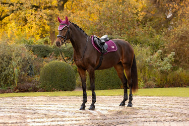 LeMieux Blackberry Loire Classic Close Contact Square Blackberry| Online For Equine