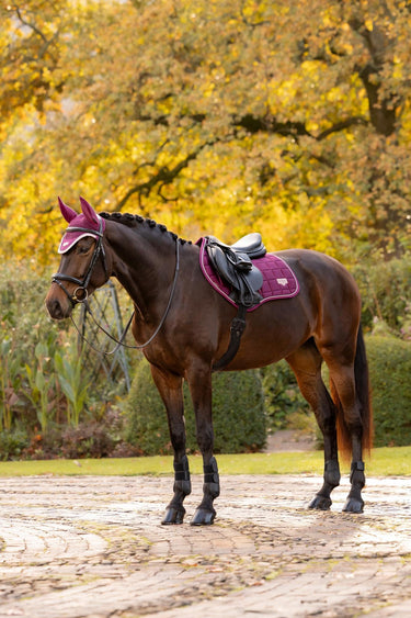 LeMieux Blackberry Loire Classic Close Contact Square Blackberry| Online For Equine