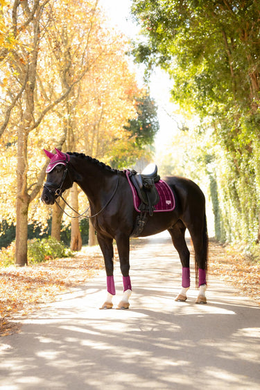 LeMieux Blackberry Loire Classic Dressage Square Blackberry| Online For Equine